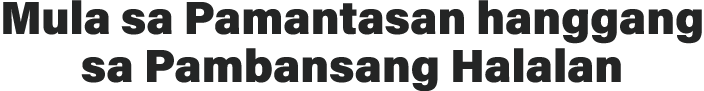 Mula sa Pamantasan hanggang sa Pambansang Halalan